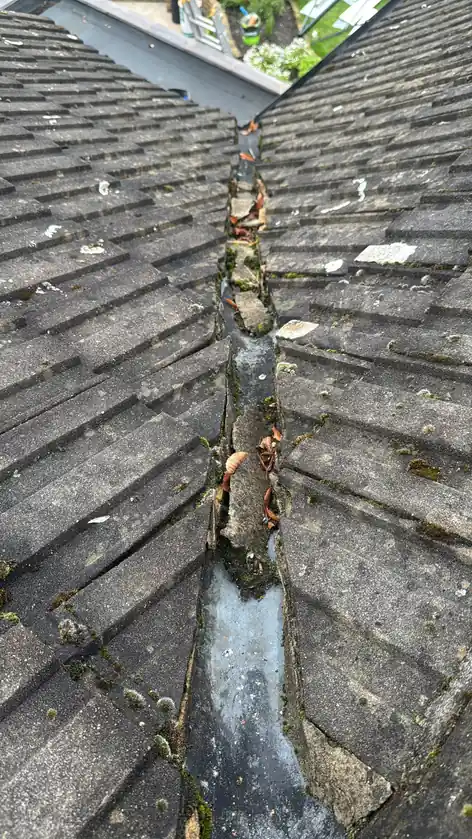 Blocked roof valley full of leaves and debris