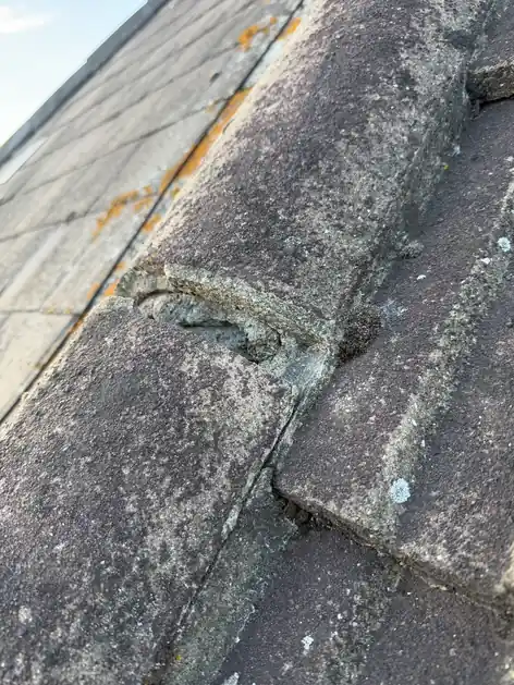 Concrete roof tile with an old mortar patch repair