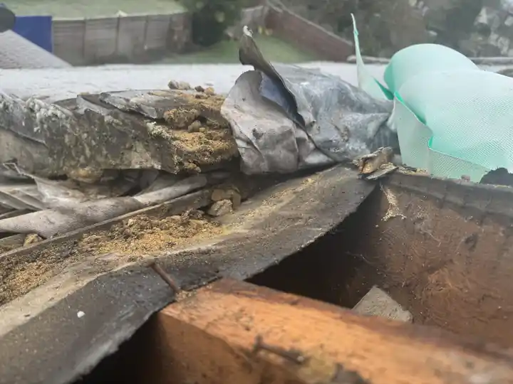 Perished roofing felt and rotten timber along the eaves