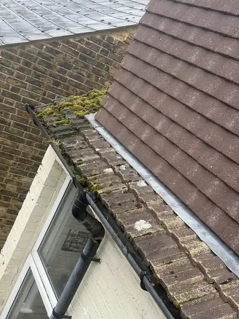 Valley gutter between a tiled roof and a wall clogged with moss and debris