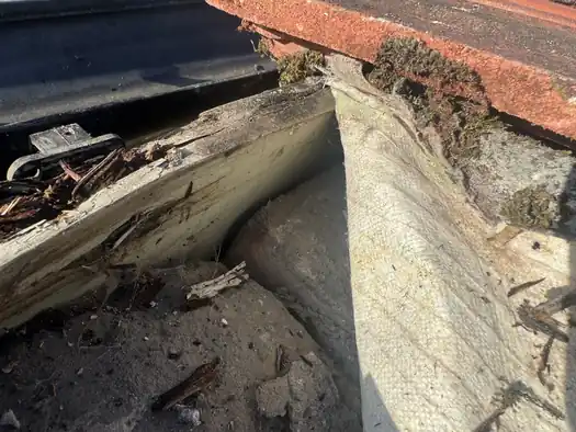 Rotten timber fascia behind the gutter with moss on the eaves tiles